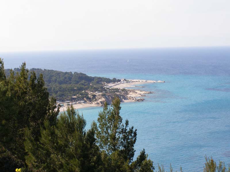 P5030229