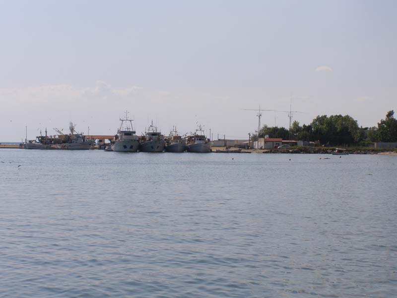 P5040236