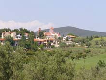 P5010098