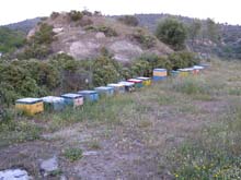 P5020141