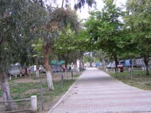 P5030147