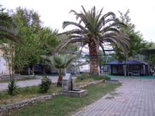 P5030148