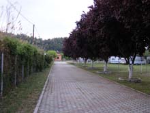 P5030153