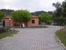 P5030155