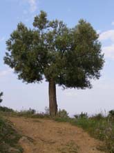 P5030166