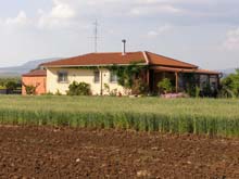 P5040239