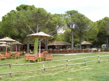 P5050242