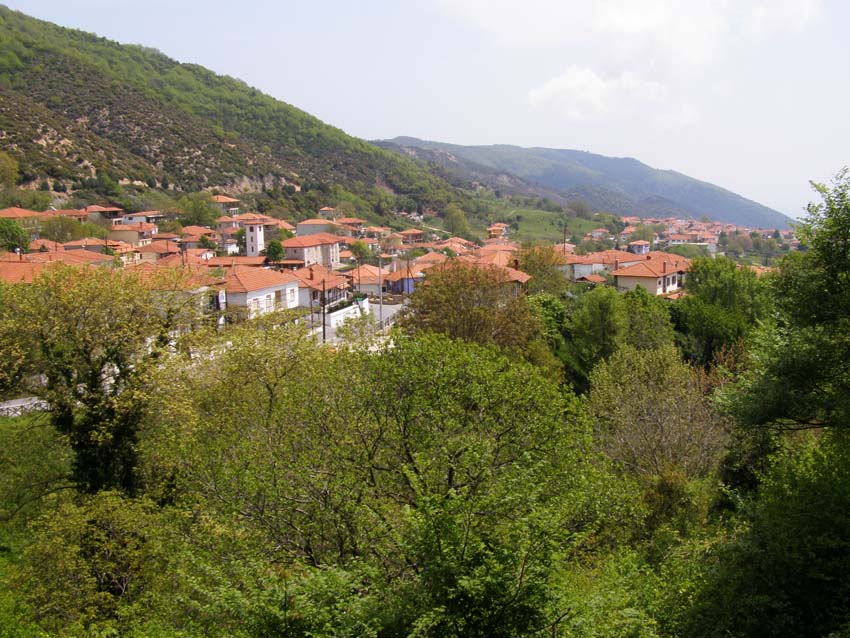 P5030215
