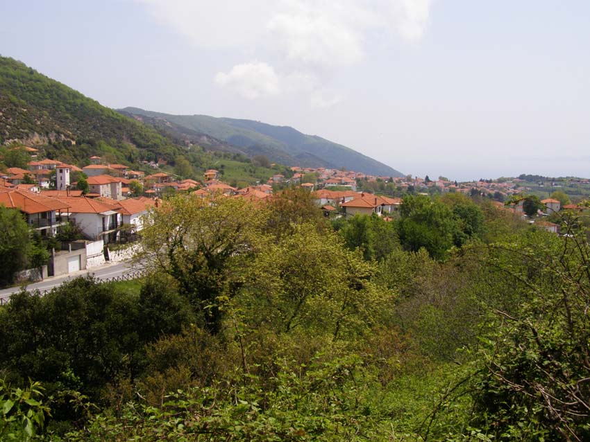 P5030216