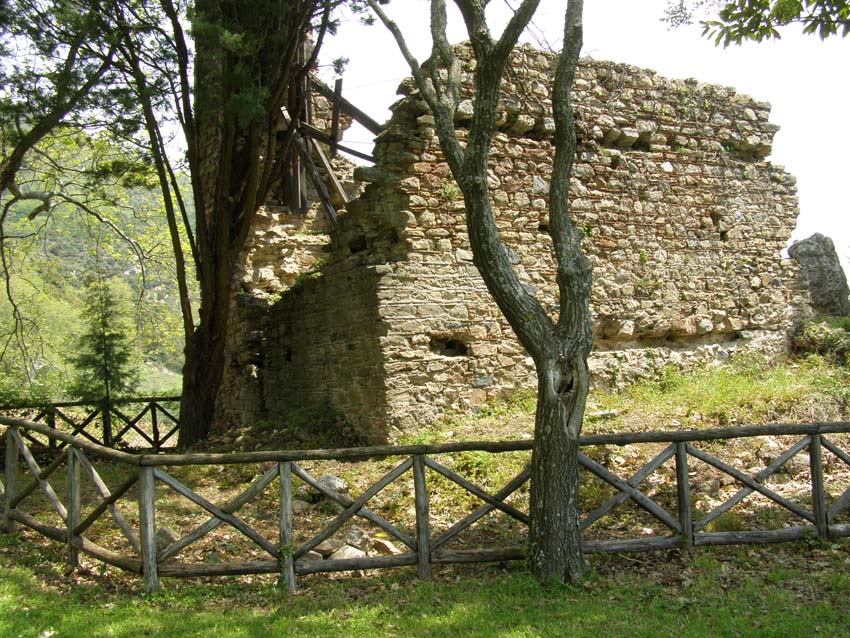 P5030219