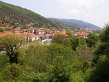 P5030215