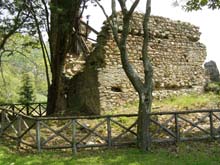 P5030219