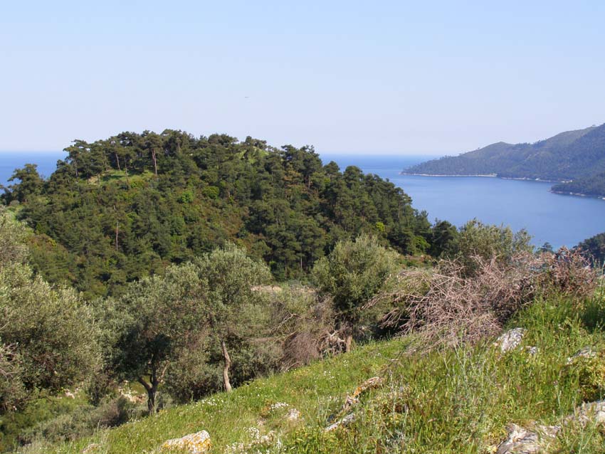 P5080678