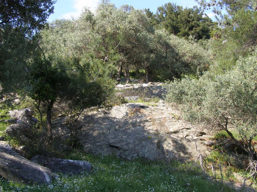 P5080683