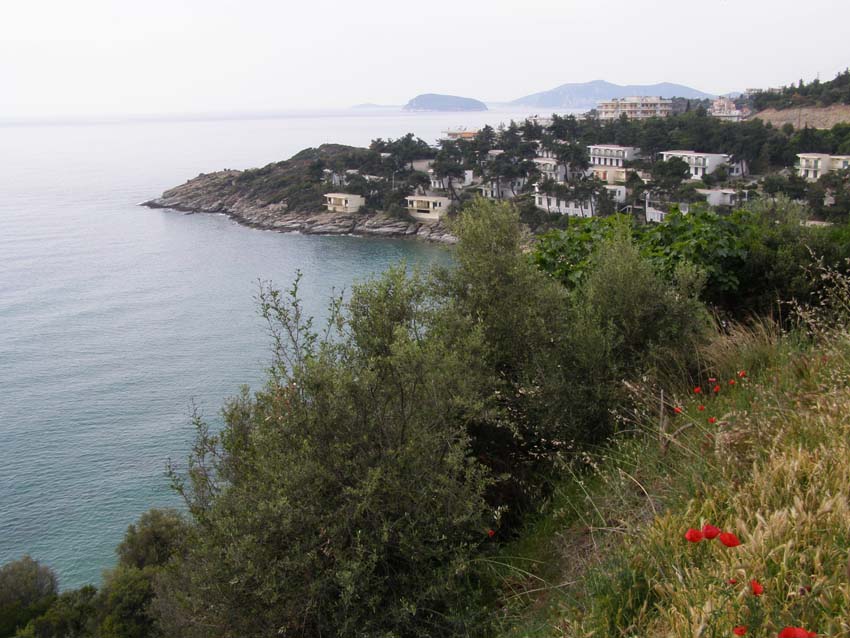 P5050361