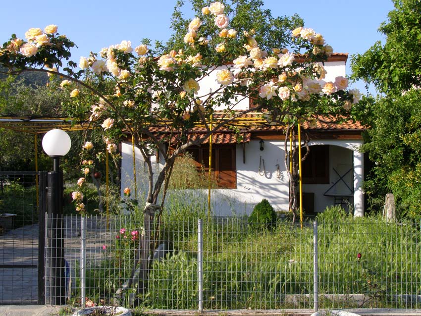P5090701
