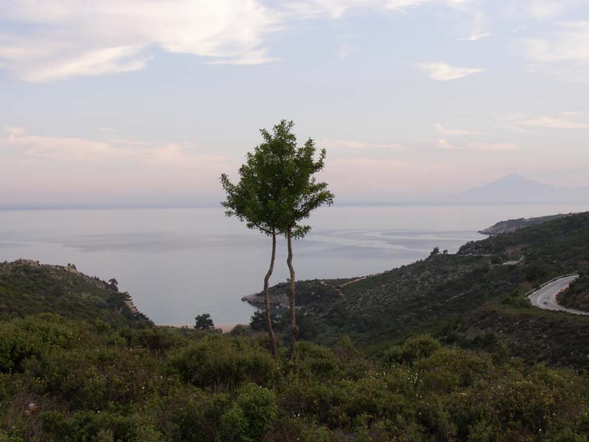 P5070595