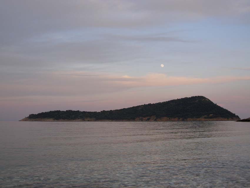 P5070599