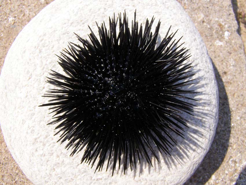 P5060484
