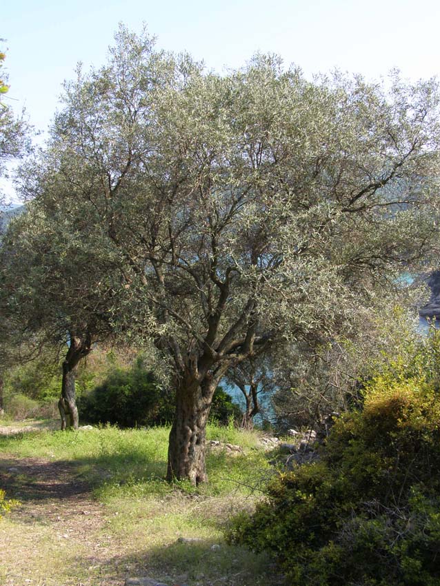 P5030275