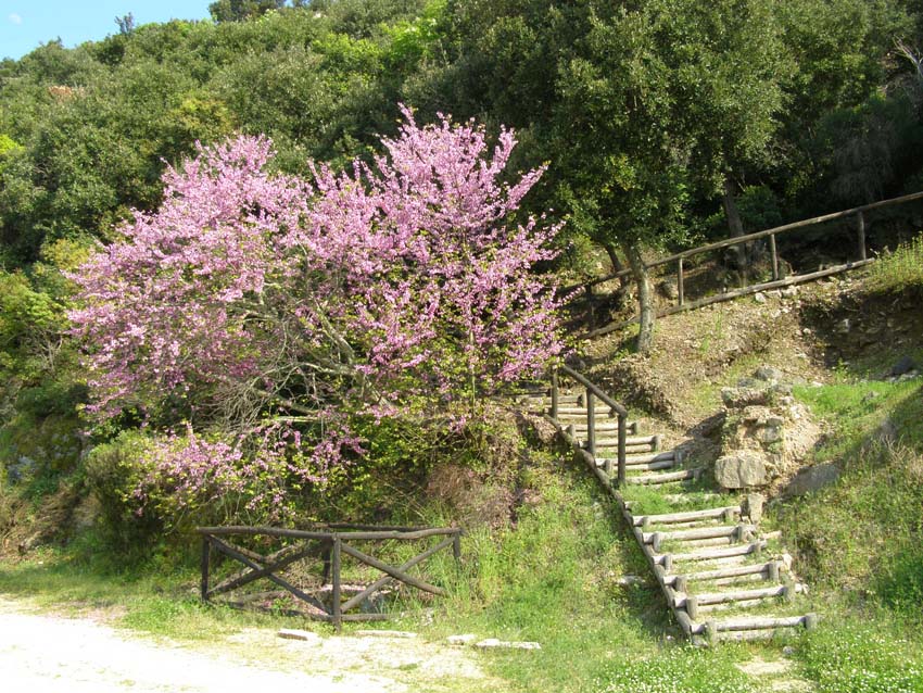 P5030277