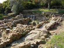 P5030267
