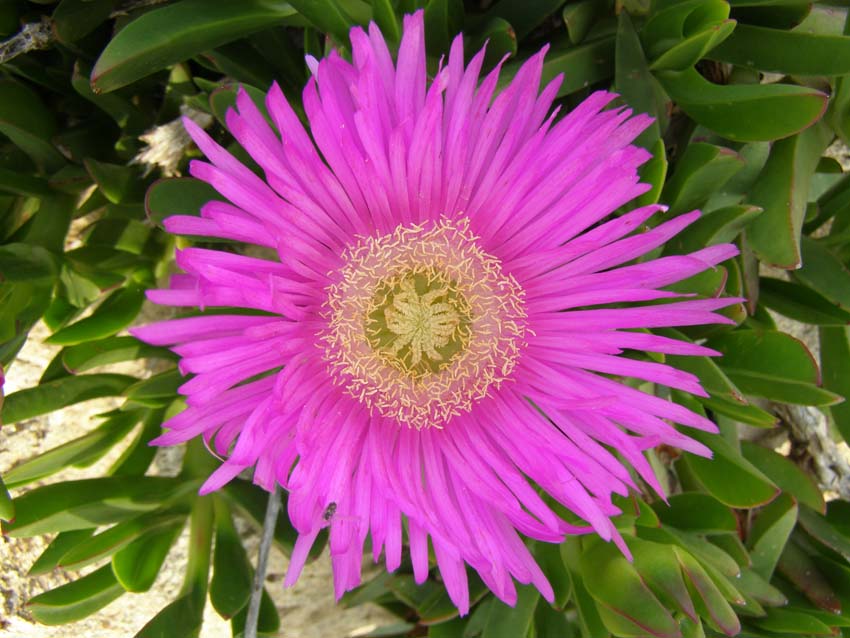 P5040340