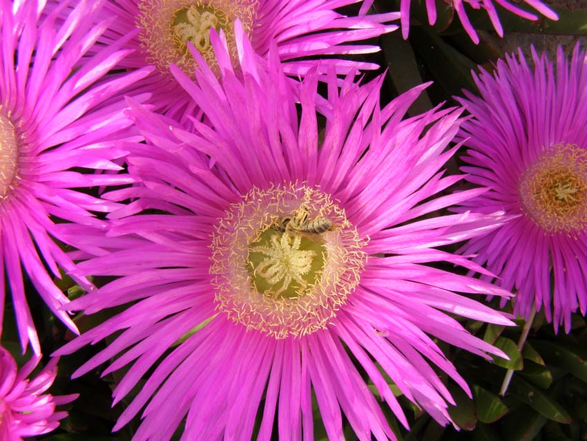 P5040341