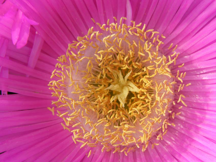 P5040344