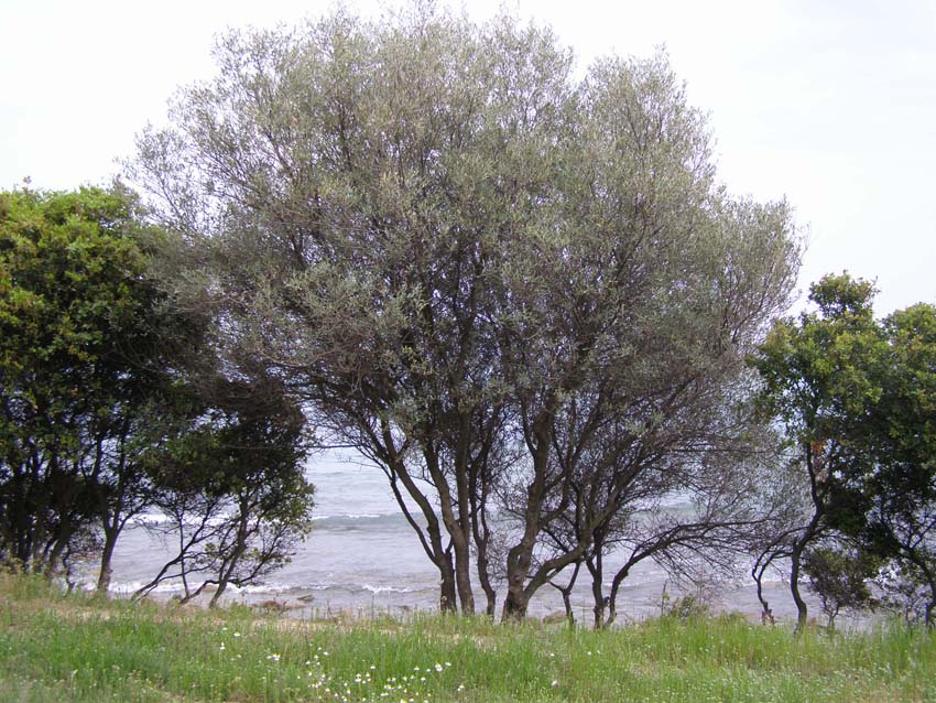P5040357