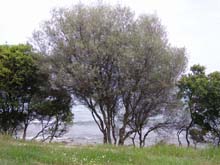 P5040357