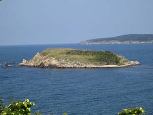 IMG_4100