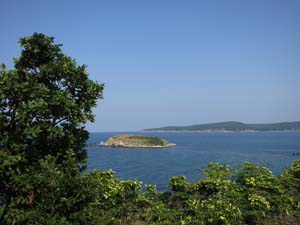 IMG_4101