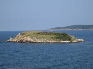 IMG_4103