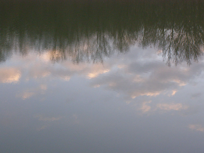 PC050054