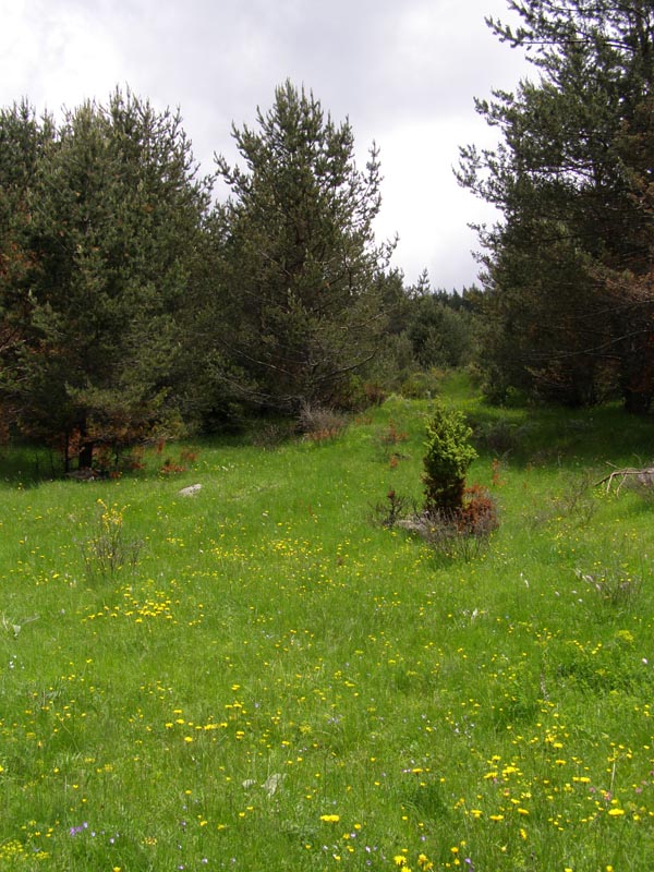 P6171094