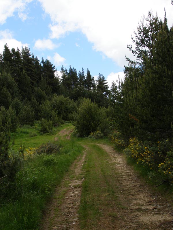 P6171096