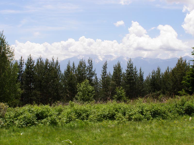 P6171097
