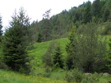 P6171093
