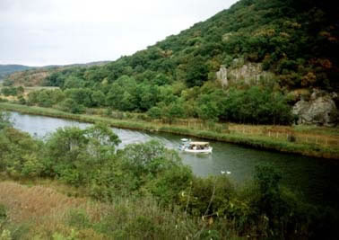 ���� �������� - ������.