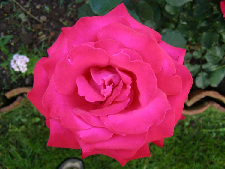 P6010311