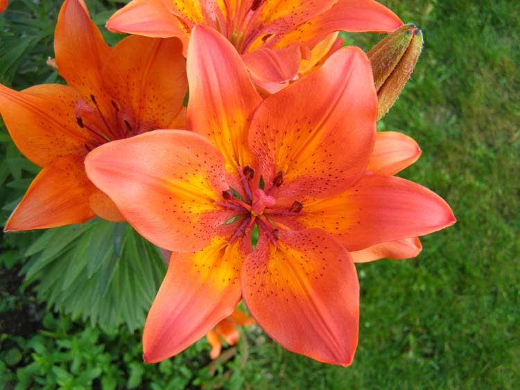 P6010313