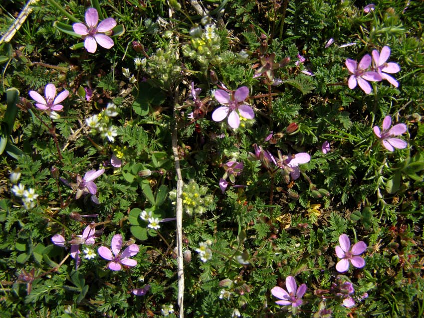 P4040434