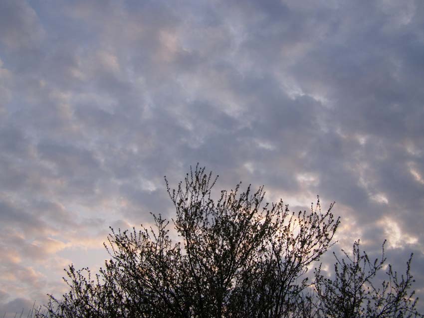 P4170445