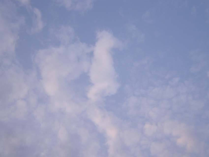 P4170447