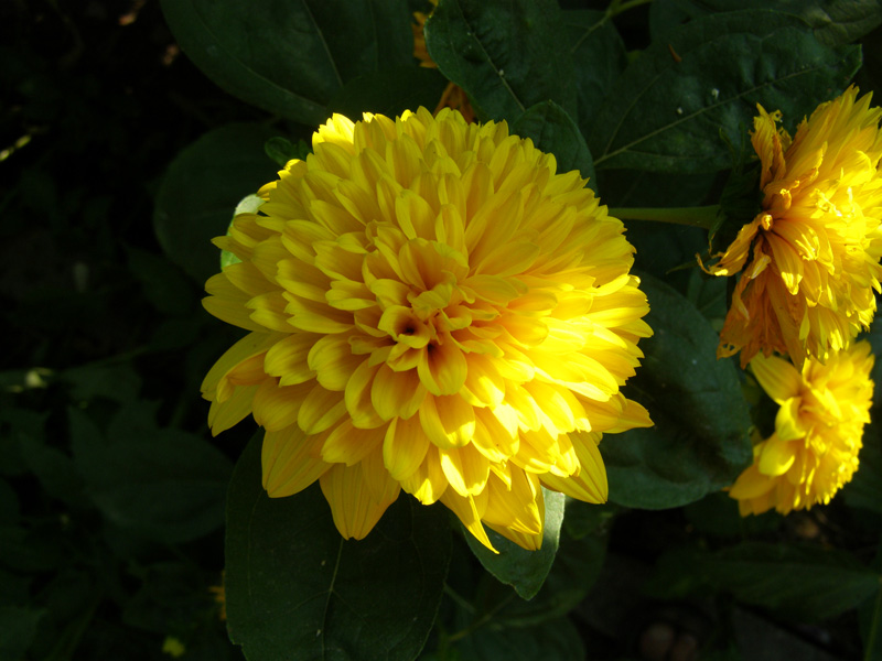 P7200648