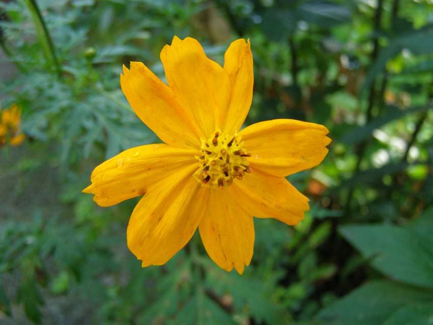 P9130388