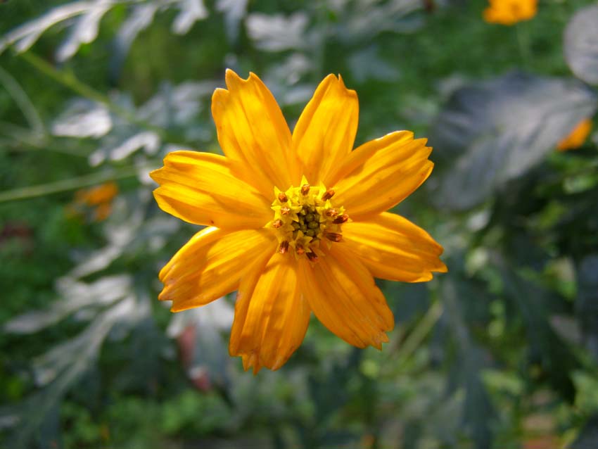 P9130389