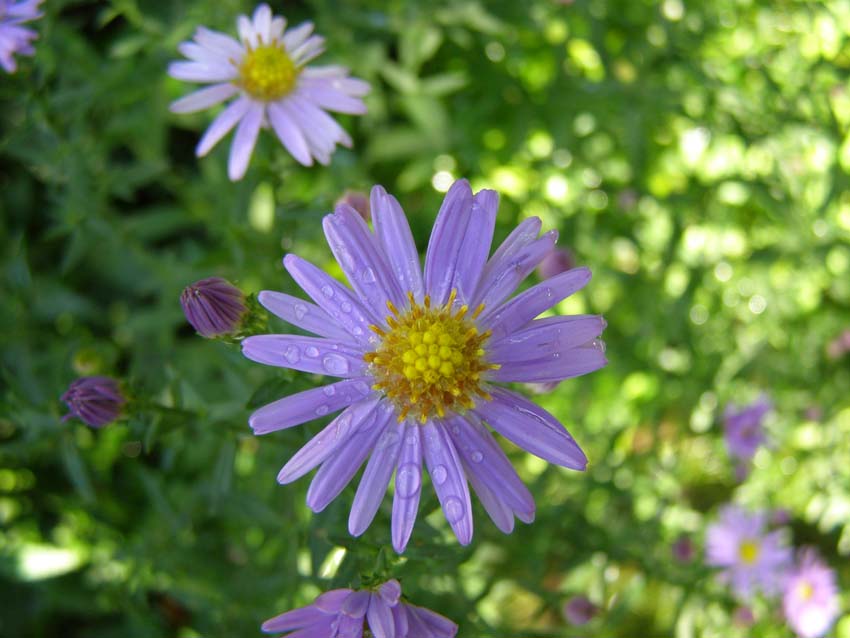 P9130393