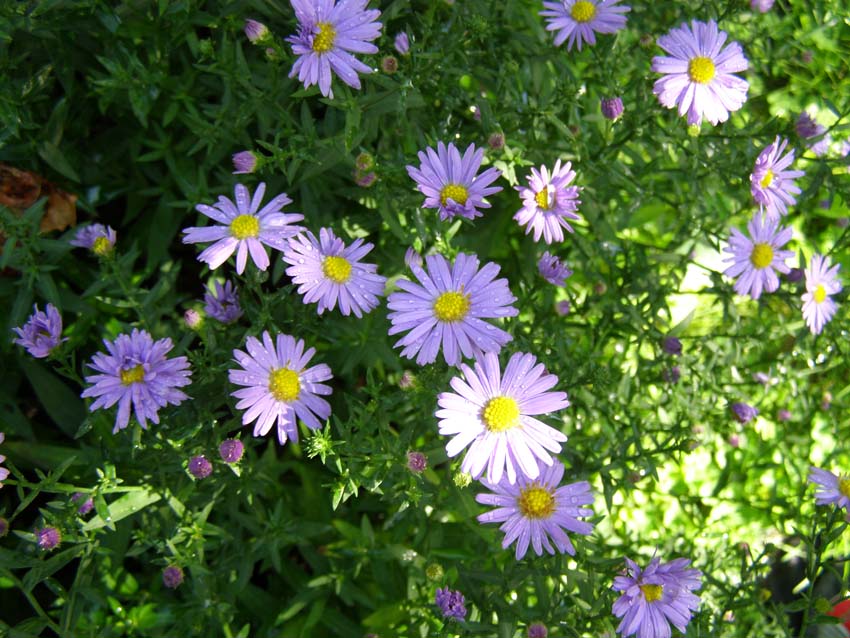 P9130394